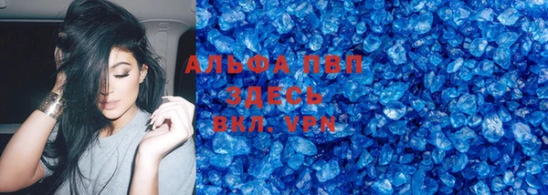 спиды Верея