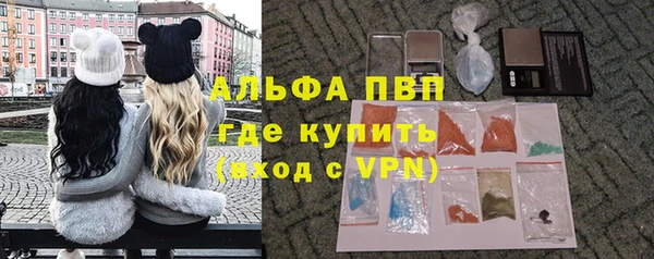 спиды Верея