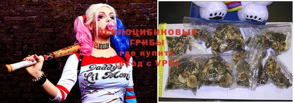 спиды Верея