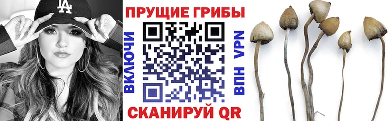 Галлюциногенные грибы ЛСД  Нолинск 