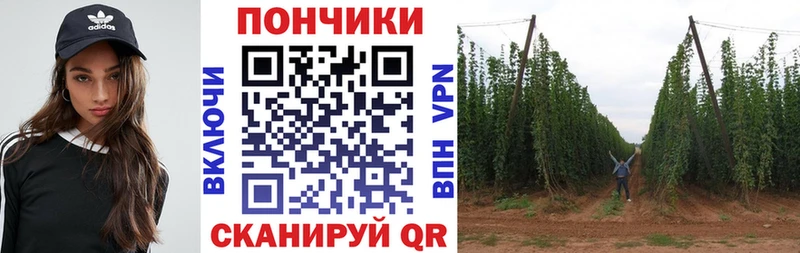 Марихуана план даркнет клад Нолинск купить наркоту